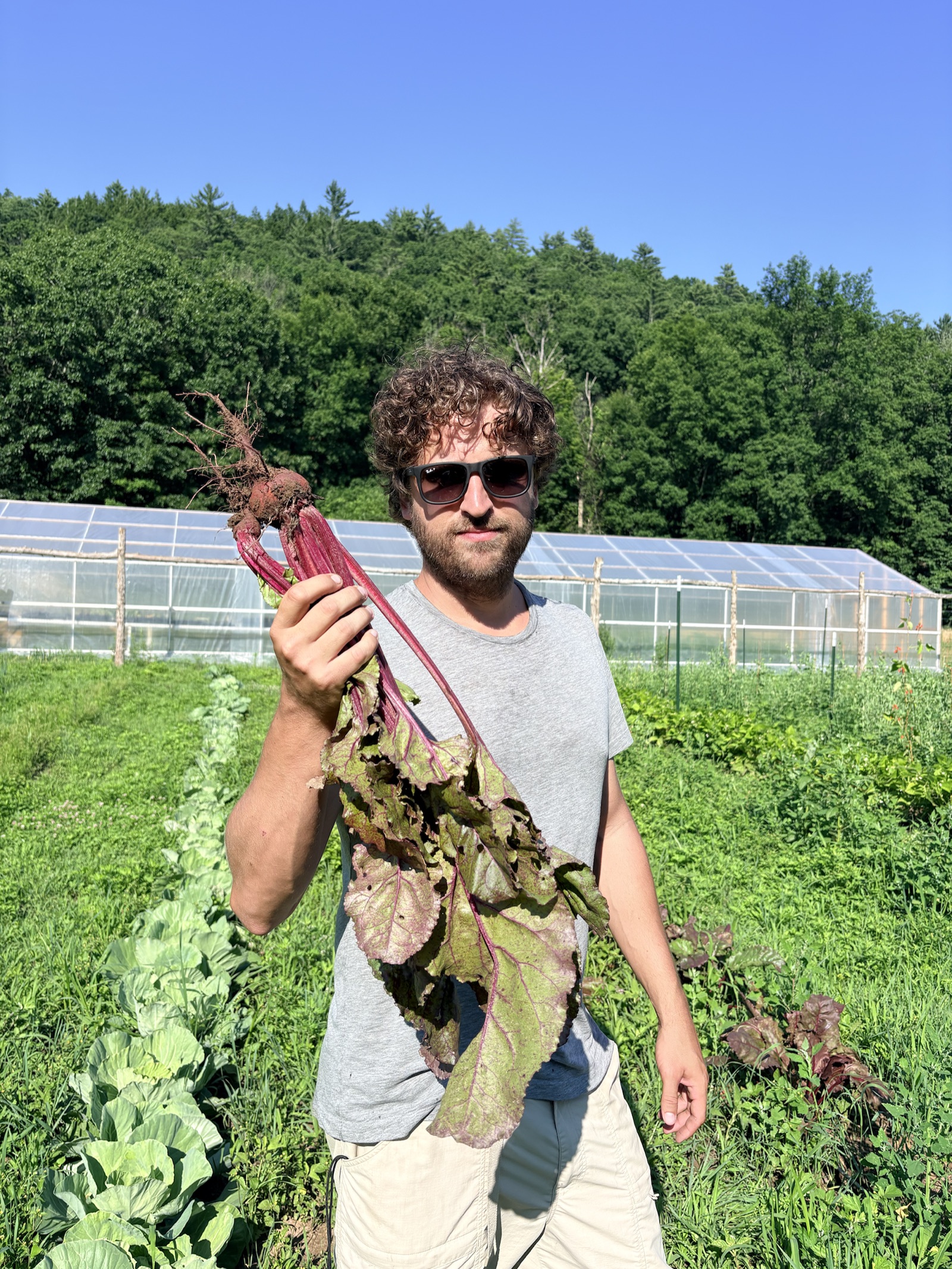 A farmer holding a freshly harvested beet in front of a greenhouse